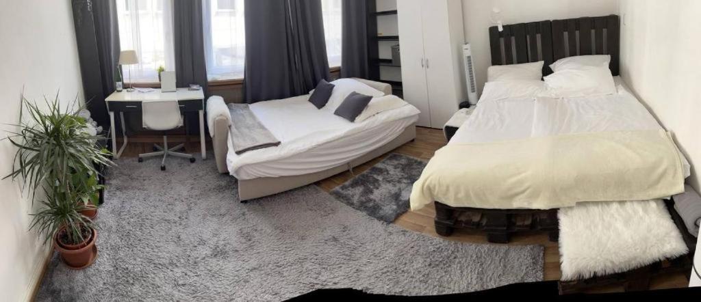 Ferienwohnung In Der Altstadt Fussgangerzone Treviri Esterno foto